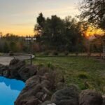 whatsapp image 2025 12 25 at 2.42.49 am (14)