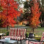 whatsapp image 2025 12 25 at 2.42.49 am (15)