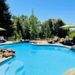 whatsapp image 2025 12 25 at 2.42.49 am