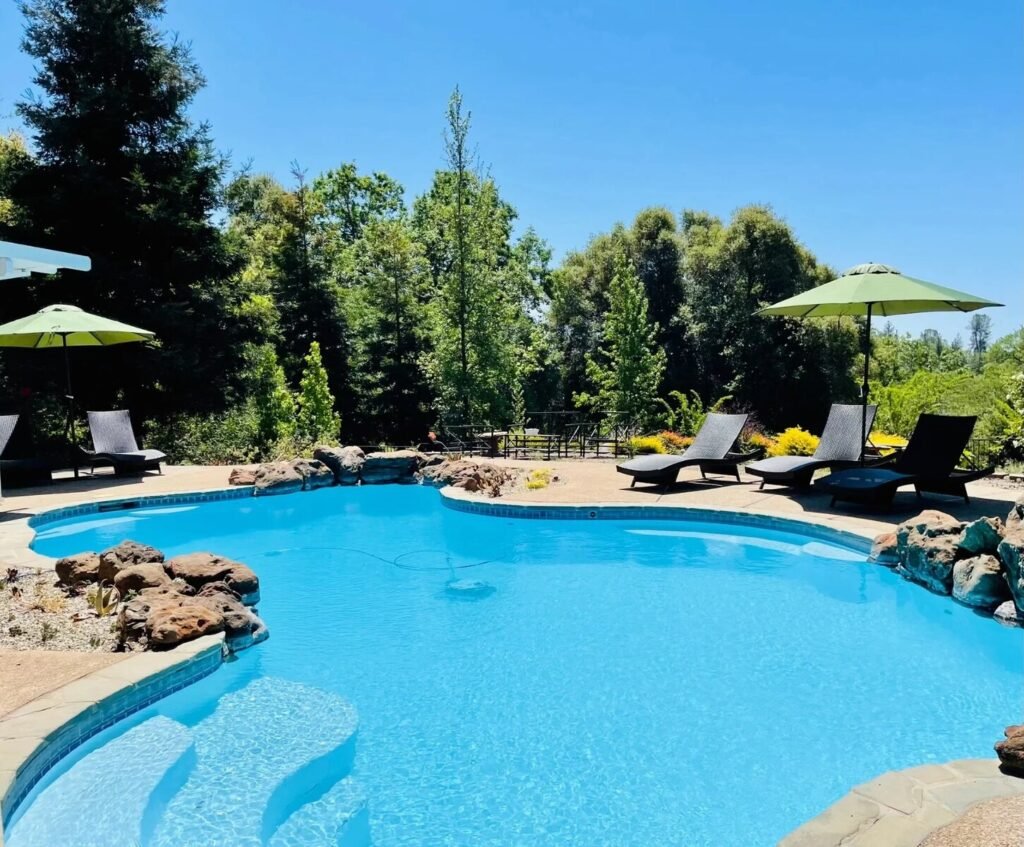 whatsapp image 2026 03 25 at 1.21.08 pm (1)