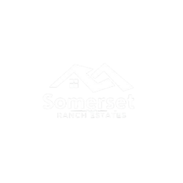 abc removebg preview